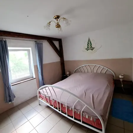 Srodziemie Lorien Lesno