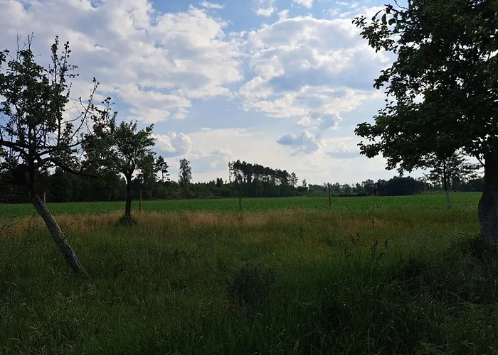 Alojamento de Turismo Rural śródziemie Lorien *