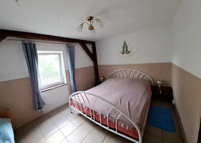 Srodziemie Lorien Lesno